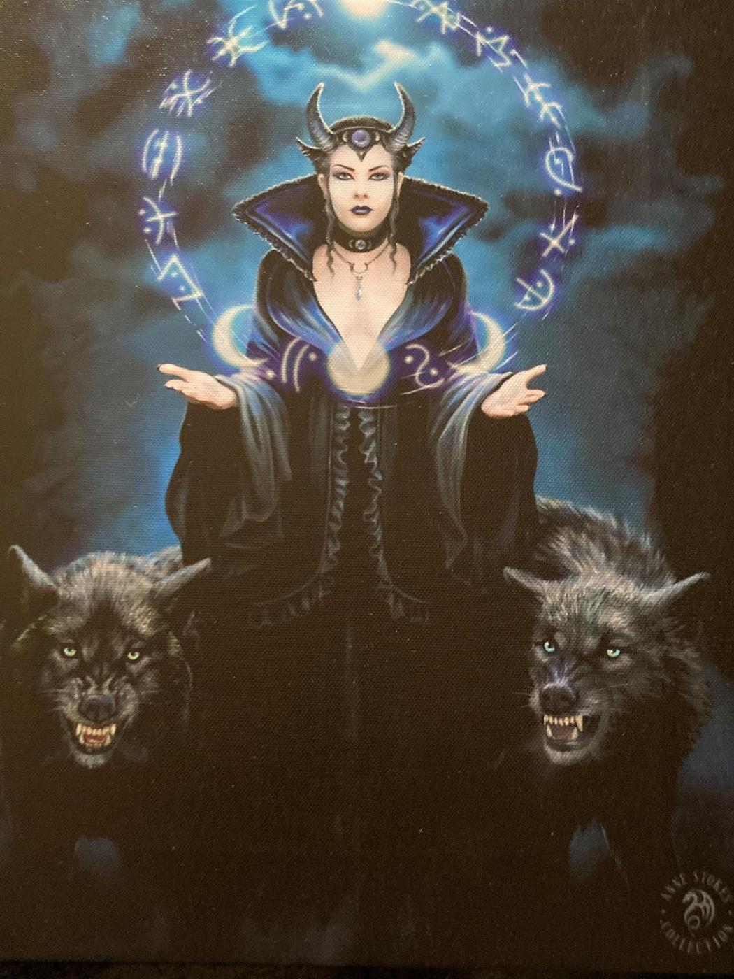 Anne Stokes Moon Witch canvas