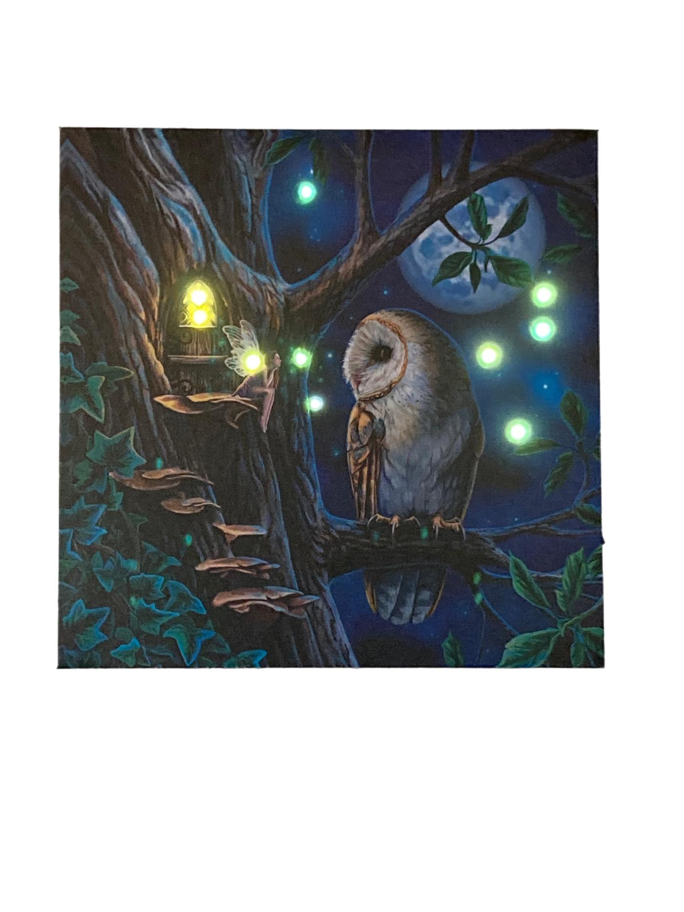 Fairy Tales Light up canvas By Lisa Parker