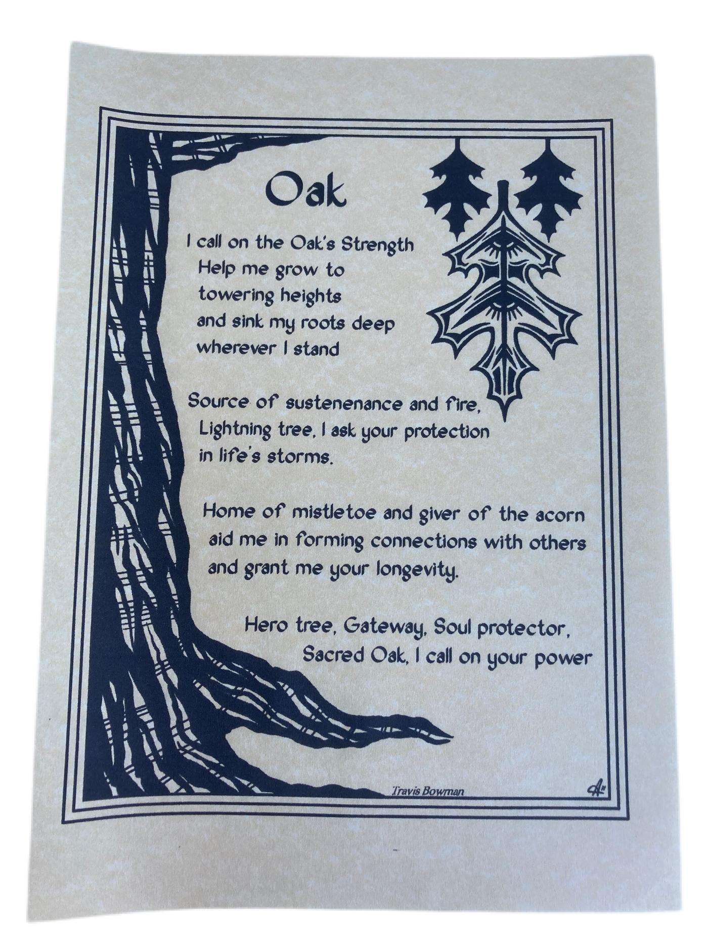 Oak Parchment Poster