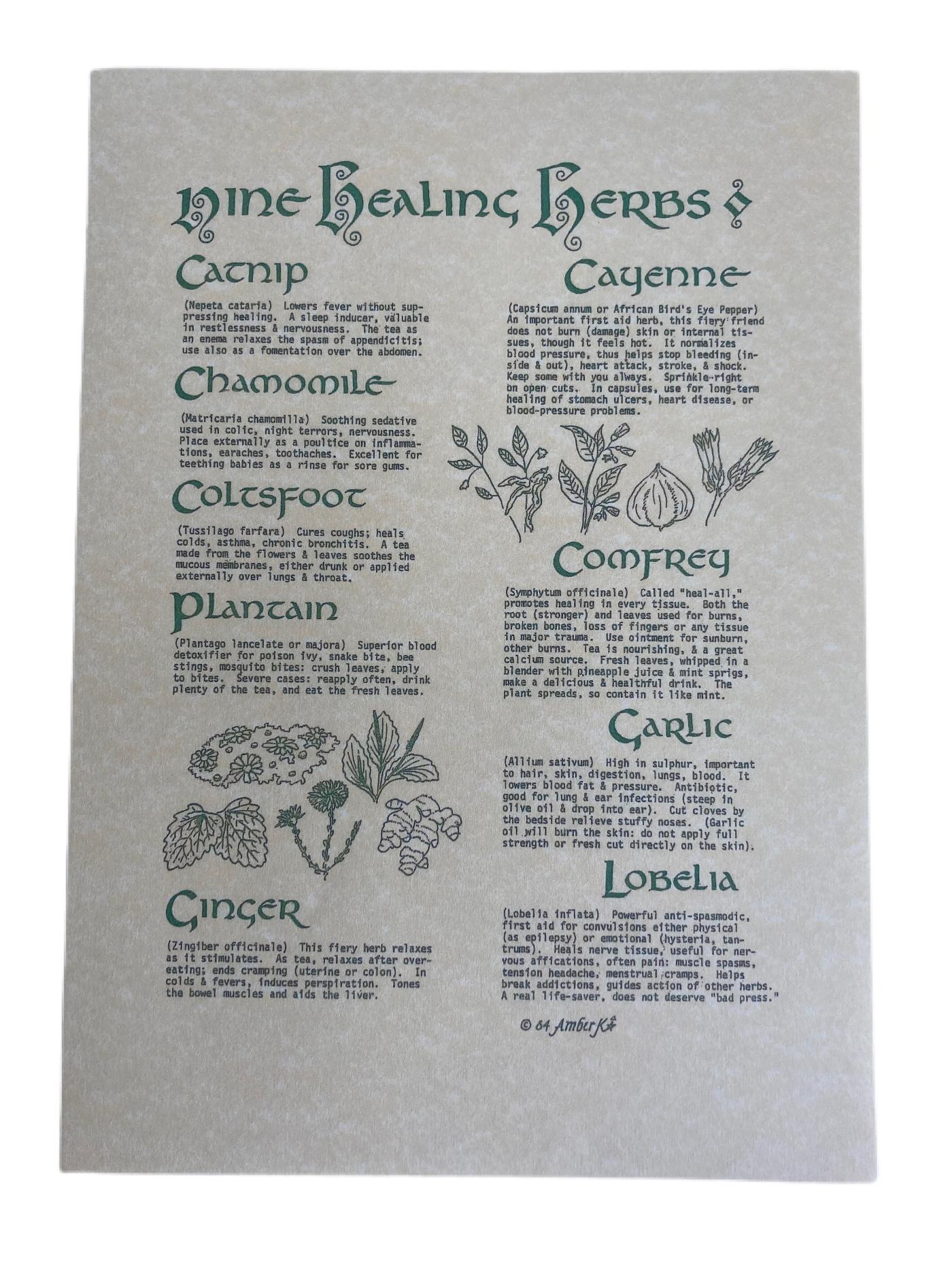 Nine Healing Herbs Parchment Poster